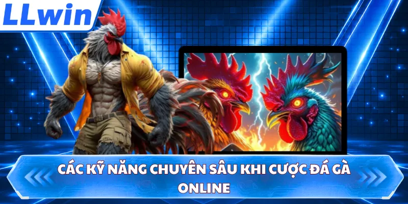 Các kỹ năng chuyên sâu khi cược đá gà online