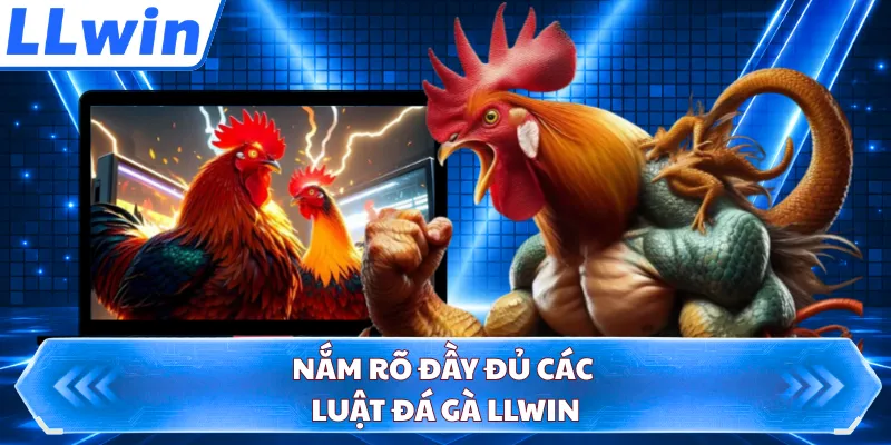 Nắm rõ đầy đủ các luật đá gà LLWIN